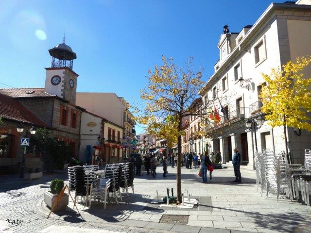 Reparación tejado Cercedilla